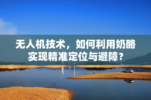 无人机技术，如何利用奶酪实现精准定位与避障？