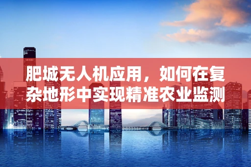 肥城无人机应用，如何在复杂地形中实现精准农业监测？