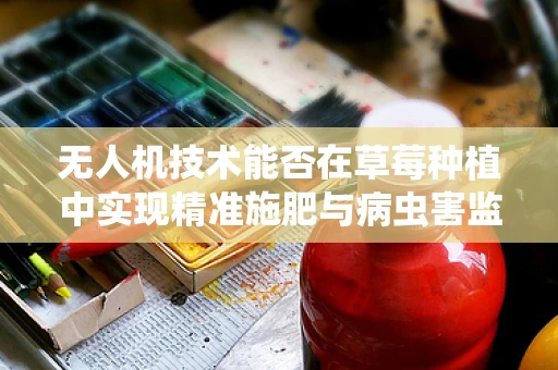 无人机技术能否在草莓种植中实现精准施肥与病虫害监测？
