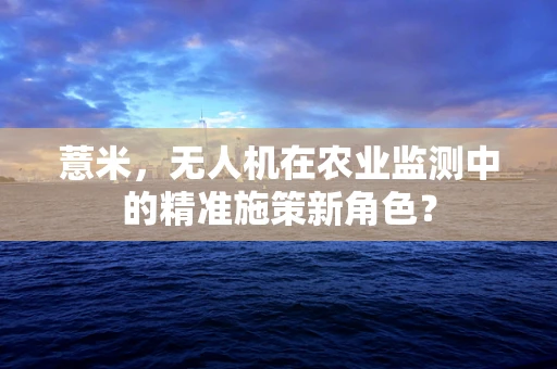 薏米，无人机在农业监测中的精准施策新角色？