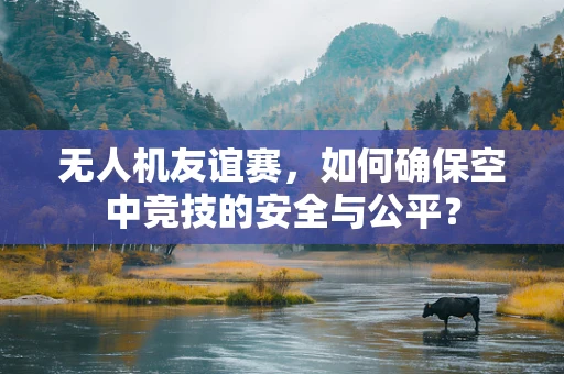 无人机友谊赛，如何确保空中竞技的安全与公平？
