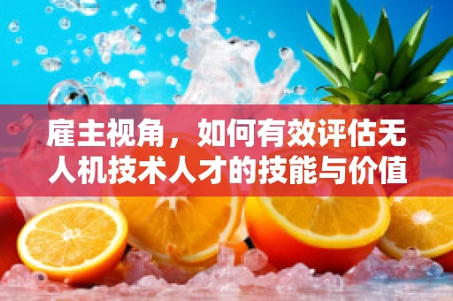 雇主视角，如何有效评估无人机技术人才的技能与价值？