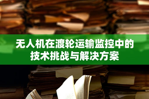 无人机在渡轮运输监控中的技术挑战与解决方案