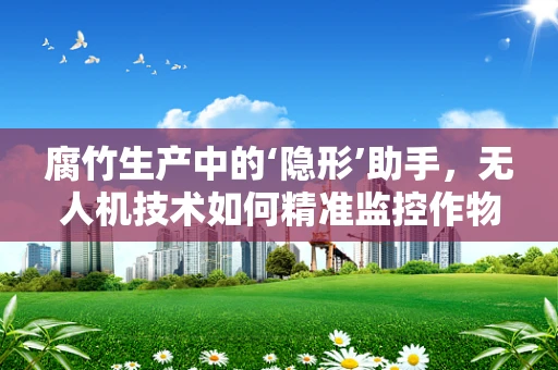 腐竹生产中的‘隐形’助手，无人机技术如何精准监控作物生长？