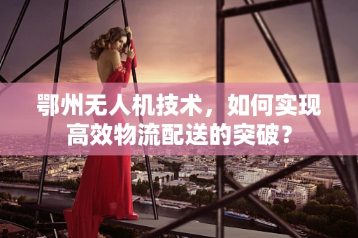 鄂州无人机技术，如何实现高效物流配送的突破？