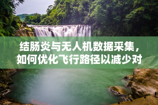 结肠炎与无人机数据采集，如何优化飞行路径以减少对敏感生态区的干扰？