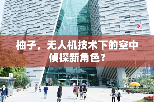柚子，无人机技术下的空中侦探新角色？