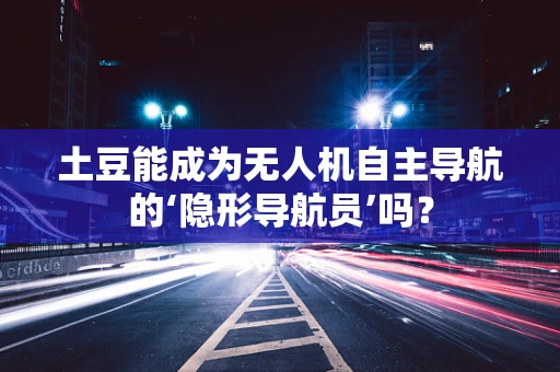土豆能成为无人机自主导航的‘隐形导航员’吗？