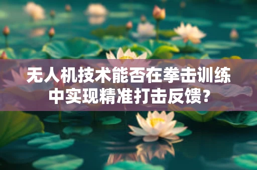 无人机技术能否在拳击训练中实现精准打击反馈？