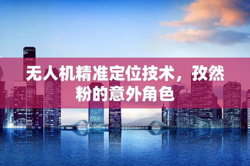 无人机精准定位技术，孜然粉的意外角色