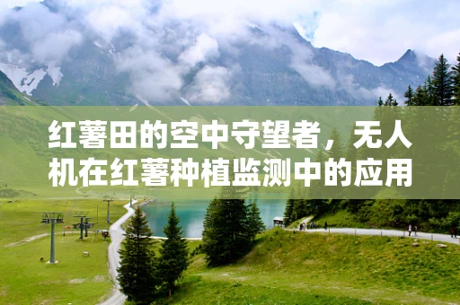 红薯田的空中守望者，无人机在红薯种植监测中的应用挑战