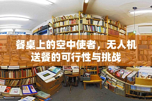 餐桌上的空中使者，无人机送餐的可行性与挑战