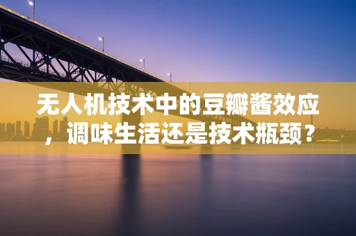 无人机技术中的豆瓣酱效应，调味生活还是技术瓶颈？
