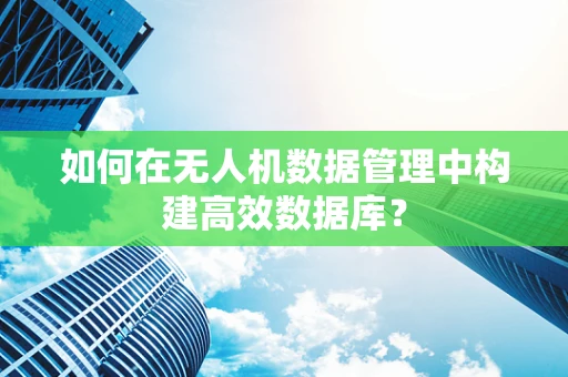 如何在无人机数据管理中构建高效数据库？