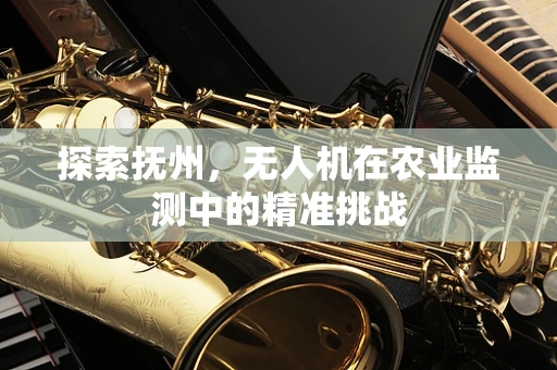探索抚州，无人机在农业监测中的精准挑战