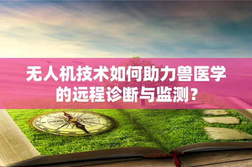 无人机技术如何助力兽医学的远程诊断与监测？