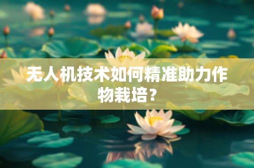 无人机技术如何精准助力作物栽培？