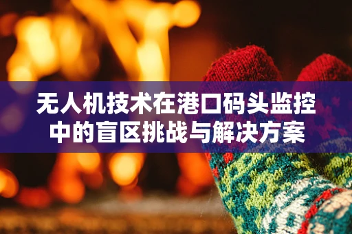 无人机技术在港口码头监控中的盲区挑战与解决方案
