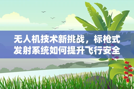 无人机技术新挑战，标枪式发射系统如何提升飞行安全与效率？