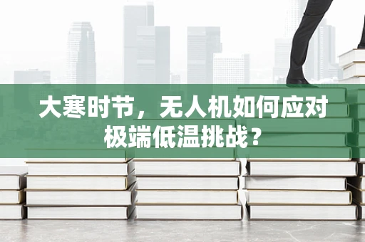 大寒时节，无人机如何应对极端低温挑战？