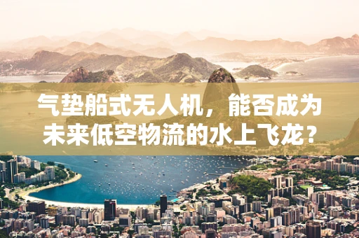 气垫船式无人机，能否成为未来低空物流的水上飞龙？
