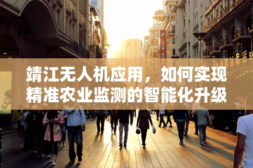 靖江无人机应用，如何实现精准农业监测的智能化升级？