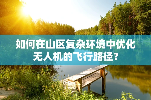 如何在山区复杂环境中优化无人机的飞行路径？