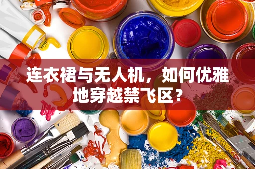 连衣裙与无人机，如何优雅地穿越禁飞区？