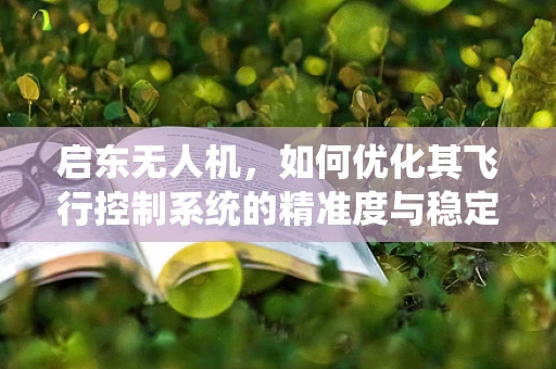 启东无人机，如何优化其飞行控制系统的精准度与稳定性？