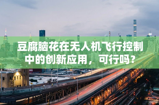 豆腐脑花在无人机飞行控制中的创新应用，可行吗？