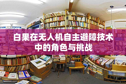 白果在无人机自主避障技术中的角色与挑战