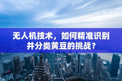无人机技术，如何精准识别并分类黄豆的挑战？
