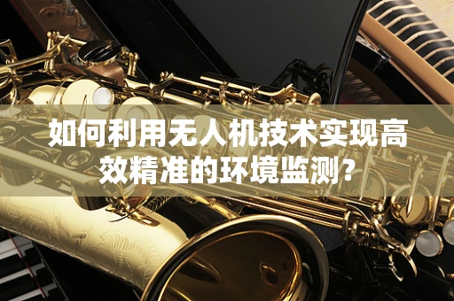 如何利用无人机技术实现高效精准的环境监测？