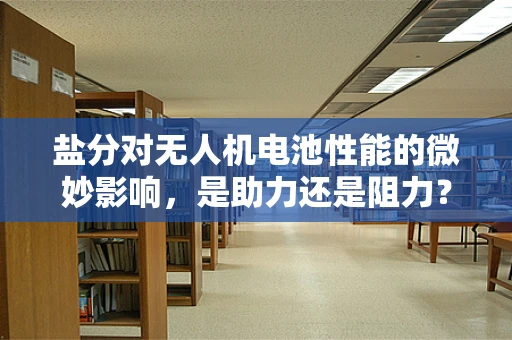 盐分对无人机电池性能的微妙影响，是助力还是阻力？