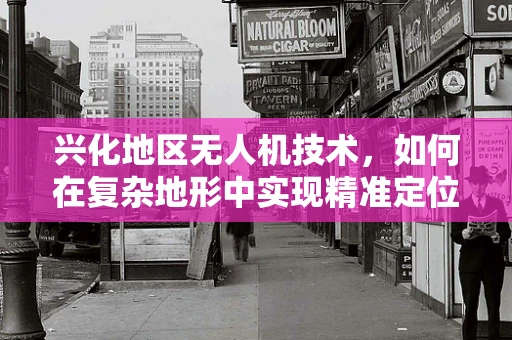 兴化地区无人机技术，如何在复杂地形中实现精准定位？
