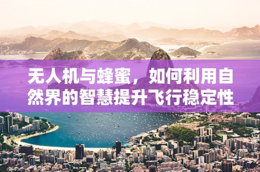无人机与蜂蜜，如何利用自然界的智慧提升飞行稳定性？
