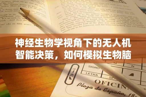 神经生物学视角下的无人机智能决策，如何模拟生物脑的复杂决策过程？