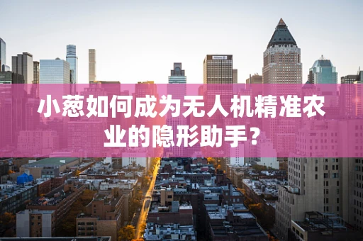 小葱如何成为无人机精准农业的隐形助手？