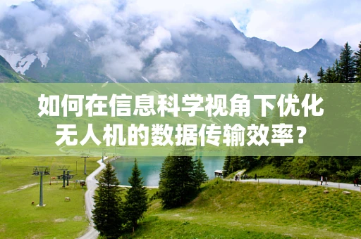 如何在信息科学视角下优化无人机的数据传输效率？