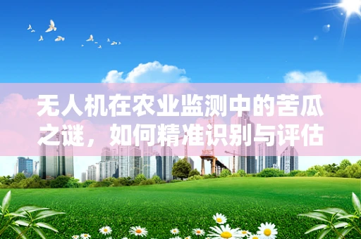 无人机在农业监测中的苦瓜之谜，如何精准识别与评估？