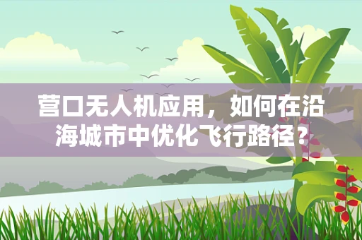 营口无人机应用，如何在沿海城市中优化飞行路径？