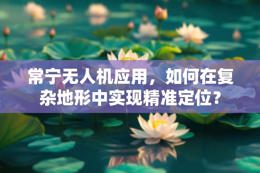 常宁无人机应用，如何在复杂地形中实现精准定位？