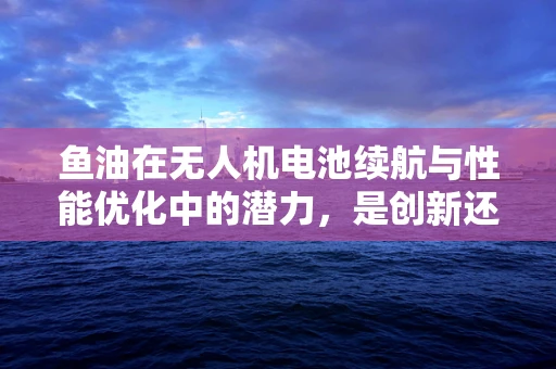 鱼油在无人机电池续航与性能优化中的潜力，是创新还是噱头？