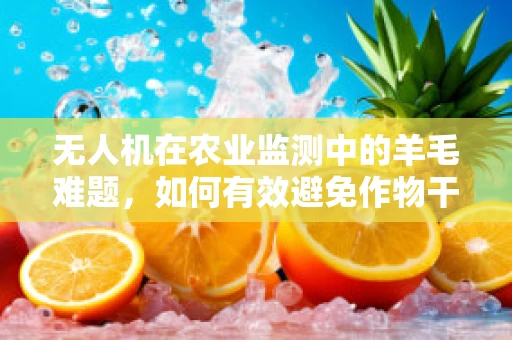 无人机在农业监测中的羊毛难题，如何有效避免作物干扰？