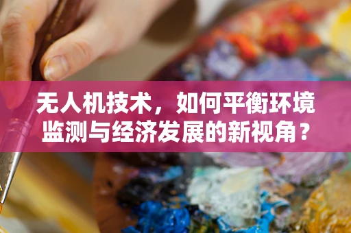 无人机技术，如何平衡环境监测与经济发展的新视角？