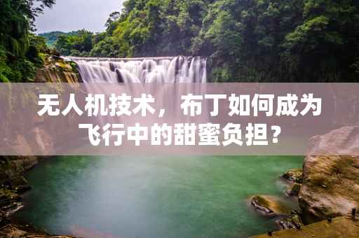 无人机技术，布丁如何成为飞行中的甜蜜负担？