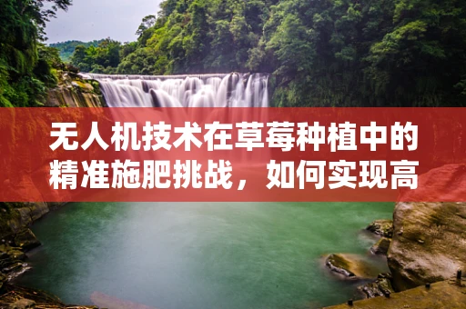 无人机技术在草莓种植中的精准施肥挑战，如何实现高效与环保的平衡？