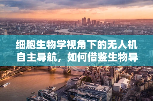 细胞生物学视角下的无人机自主导航，如何借鉴生物导航机制？