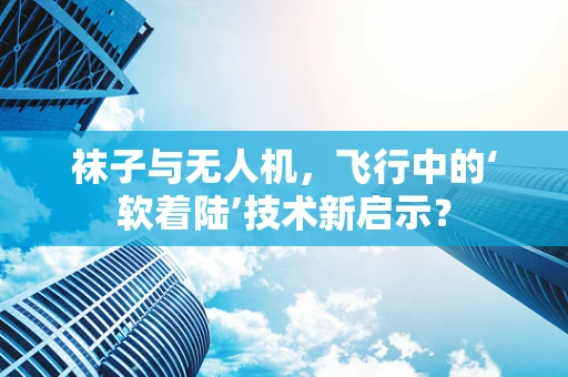 袜子与无人机，飞行中的‘软着陆’技术新启示？