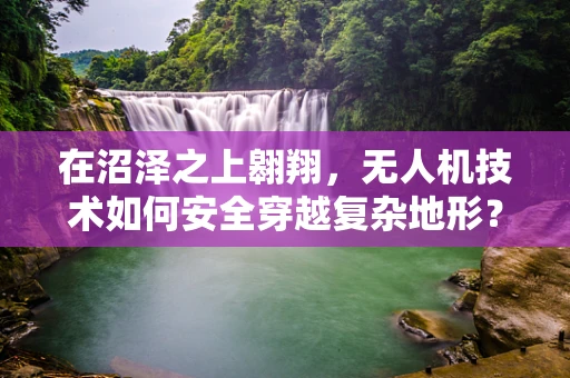 在沼泽之上翱翔，无人机技术如何安全穿越复杂地形？